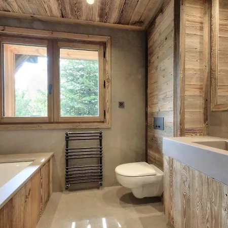Chalet Ski Montagne Nature *